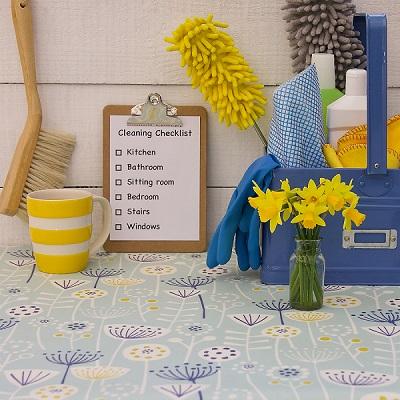 SPRING CLEANING TIPS 